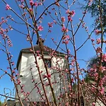 Medieval Tower At Chateau De Champagnat * Cusset