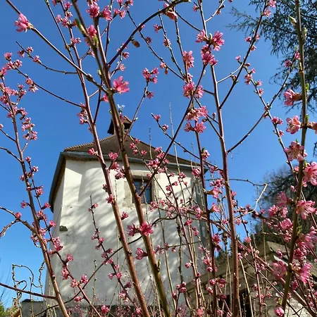 Medieval Tower At Chateau De Champagnat * Cusset